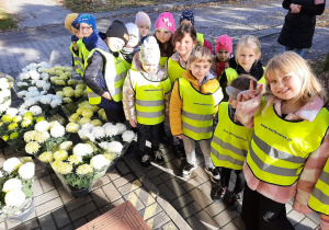 Grupa przedszkolaków podczas spaceru. Podziwiają chryzantemy w pobliskiej kwiaciarni.