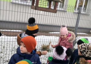 Dzieci wsypują ziarenka do karmnika.
