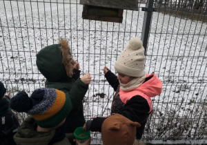 Przedszkolaki wsypują ziarenka do karmnika.