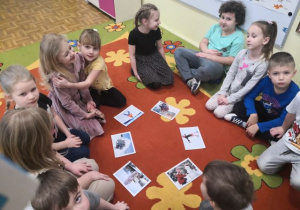 Przedszkolaki siedzą w kole na dywanie, w środku leżą obrazki przedstwiające zimowe zabawy na śniegu.