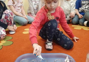 Przygotowania do eksperymentu. Dziewczynka siedzi na dywanie. Do ustawionych na tacy słoiczków z wodą wlewa barwnik. W tle pozostałe dzieci obserwujące czynność.