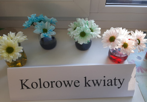 Efekt doświadczenia "Kolorowe kwiaty". W czterech wazonikach z wodą w różnych kolorach stoją kwiaty, które zmieniły kolor.