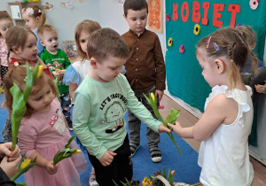 Chłopcy wręczają tulipany