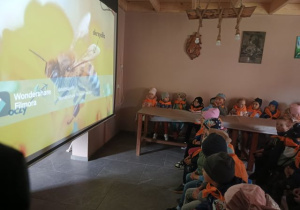 Przedszkolaki oglądają film edukacyjny o pszczołach.