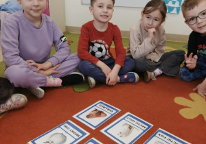 Dzieci siedzą w kole, w środku leżą obrazki przedstawiające zwierzęta polarne podczas zabawy w języku angielskim.
