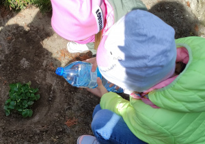 Dzieci podlewają kwiatka.