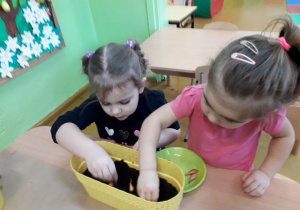 Dziewczynki wkładają cebulki do ziemi w pojemniku.