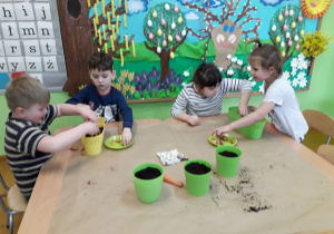 Dzieci sadzą fasolkę.