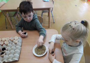Dzieci sieją nasiona rzeżuchy do doniczek ze skorupki jajka.