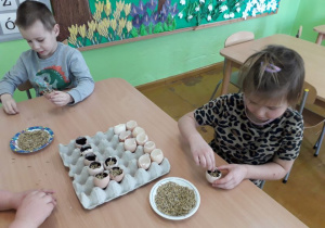 Dzieci sieją nasiona rzeżuchy do doniczek ze skorupki jajka.