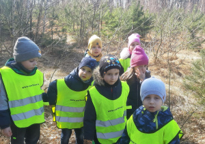 Dzieci z grupy 3-4 latków w lesie