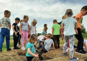 Grupa dzieci bawi się na konstrukcjach wykonanych ze słomianych bel - inna grupa.