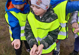 Chłopcy z grupy 5-6 latków prezentują znalezione żołędzie