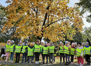 dzieci z grupy 5,6 latków podczas spaceru. Pozują do fotografii pod drzewem klonem z żółto - złotymi liśćmi.