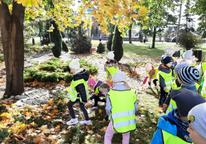 Dzieci podczas spaceru ulicami Wartkowic. Dziewczynki zbierają liście klonu..