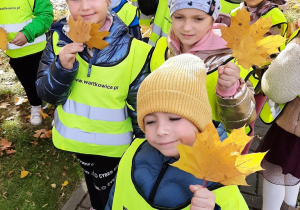 Grupa dzieci prezentuje zebrane żółte, jesienne liście.