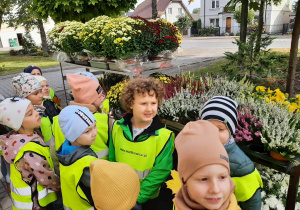 Dzieci podczas spaceru oglądają jesienną wystawę kwiaciarni. Przyglądają się wrzosom i chryzantemom.