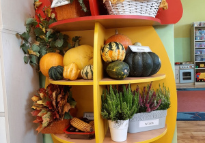 Jesienny kącik przyrodniczy. na jego półkach są: dynie, wrzos, kasztany, liście, żołędzie, jarzębina, szyszki i orzechy włoskie.