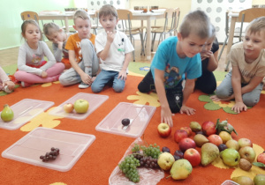 Dzieci siedzą w sali na dywanie w kole. W środku koła na tacach rozłożone są owoce - jabłka, gruszki, śliwki, winogrono, maliny, borówki. Dzieci przyglądają się im, dotykają, segregują owoce ze względu na rodzaj.