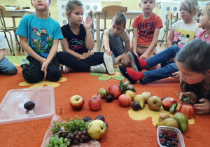 Dzieci siedzą w kole na dywanie, bawią się owocami rozłożonymi w środku koła.