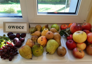 Wystawa owoców w sali 5, 6 latków. Śliwki, winogrono, gruszki i jabłka na przedszkolnym parapecie.