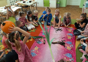 Dzieci siedzą w kole na dywanie. W środku koła rozłożone są warzywa. Dzieci dotykają, badają wybrane przez siebie warzywa - kolejne ujęcie.