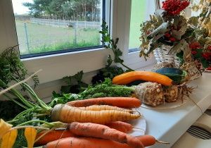 Wystawa warzyw w sali 3,4,5 latków. Na parapecie rozłożone są: marchew, seler, kabaczek.