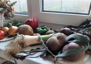 Wystawa warzyw w sali 3,4,5 latków. Na parapecie rozłożone są: cebula, papryka, por, burak.