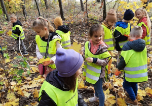 Dzieci spacerują w lesie, zbierają jesienne kolorowe liście.