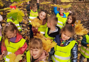 Dzieci spacerują w lesie, zbierają jesienne kolorowe liście - kolejne ujęcie.