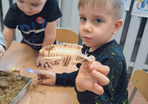 Chłopiec pokazuje znaleziony w piasku szkielet dinozaura.