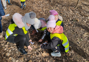 Dzieci na spacerze w lesie mierzą miarką znaleziony materiał przyrodniczy.