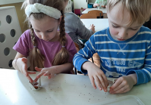 Dwoje dzieci przy stoliku wsypuje ziarna rzeżuchy do skorupki po jajku.