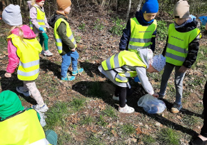 Dzieci z grupy 5,6 latków zbierają śmieci na leśnej polanie. Segregują je i pakują je do plastikowych worków.