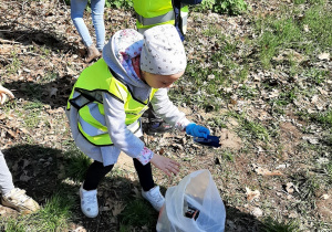 Dzieci z grupy 5,6 latków zbierają śmieci na leśnej polanie. Segregują je i pakują je do plastikowych worków.