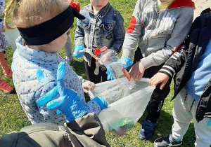 Dzieci z grupy 3,4,5 latków zbierają odpadki na terenie placu przedszkolnego, pakują je do plastikowych worków - kolejne ujęcie.