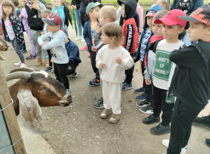 Dzieci stoją przed zagrodą dla kóz.