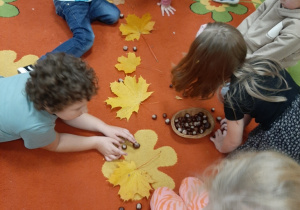 Dzieci siedzą na dywanie tworzą rytmiczne układy z materiału przyrodniczego