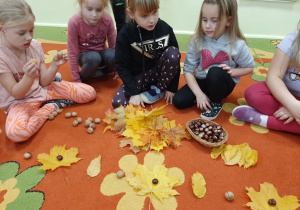 Dzieci siedzą na dywanie tworzą rytmiczne układy z materiału przyrodniczego, kolejne ujęcie.