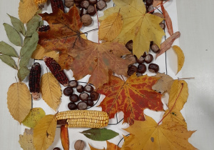 Jesienny dywan - kompozycja z materiału przyrodniczego.