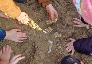 Przedszkolaki szukają w piasku szkieletu dinozaura.
