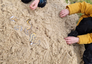 Dzieci na placu zabaw szukają w piasku kości dinozaurów