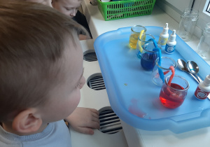 Chłopiec obserwuje efekt doświadczenia "Wędrująca woda".