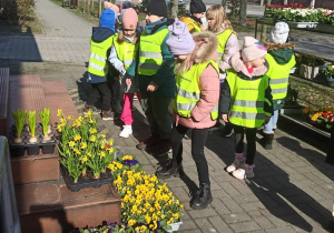 Podczas spaceru do pobliskiej kwiaciarni. Przedszkolaki wybierają kwiaty do przedszkolnego kącika przyrodniczego. Kolejne ujęcie.