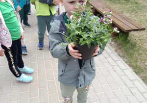 Zdjęcie 4 na 16