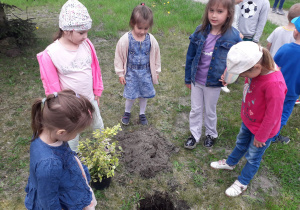 Dzieci w przedszkolnym ogródku przygotowują się do sadzenia zielonych roślin.