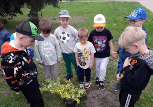 Dzieci w przedszkolnym ogródku przygotowują się do sadzenia zielonych roślin.