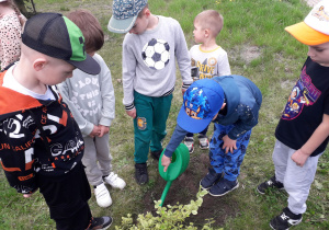 Dzieci sadzą zielone rośliny w przedszkolnym ogródku.