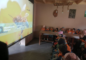 Przedszkolaki oglądają film edukacyjny o pszczołach.