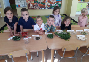 Dzieci oglądają produkty potrzebne do kiszenia pomidorków